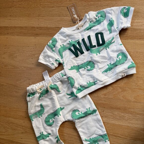 NWT | Wild t-shirt & pant sweatsuit set | 18M - Picture 1 of 4